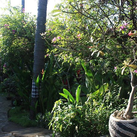 Cleopatra Beach Bungalows Hotel Lovina Eksteriør billede