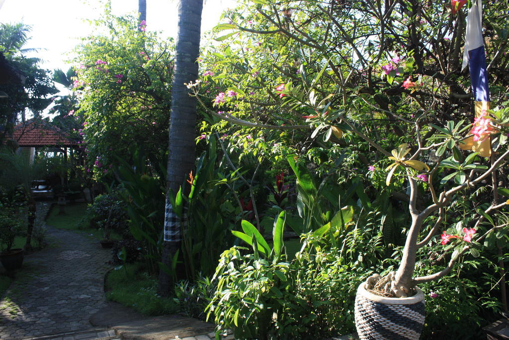 Cleopatra Beach Bungalows Hotel Lovina Eksteriør billede